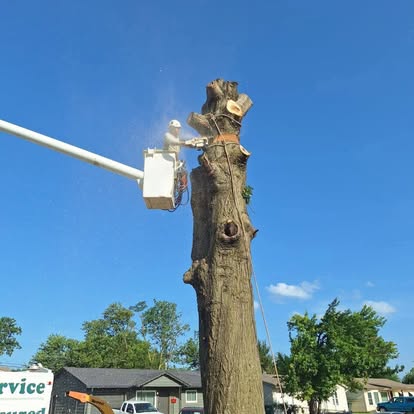 Bucket truck removing a large tree trunk