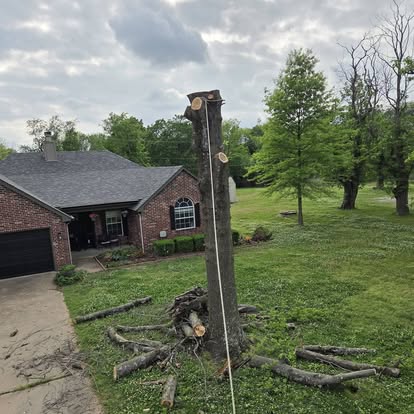 Tree removal completed near a residential home